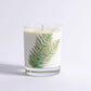 Sandalwood Fern Candle