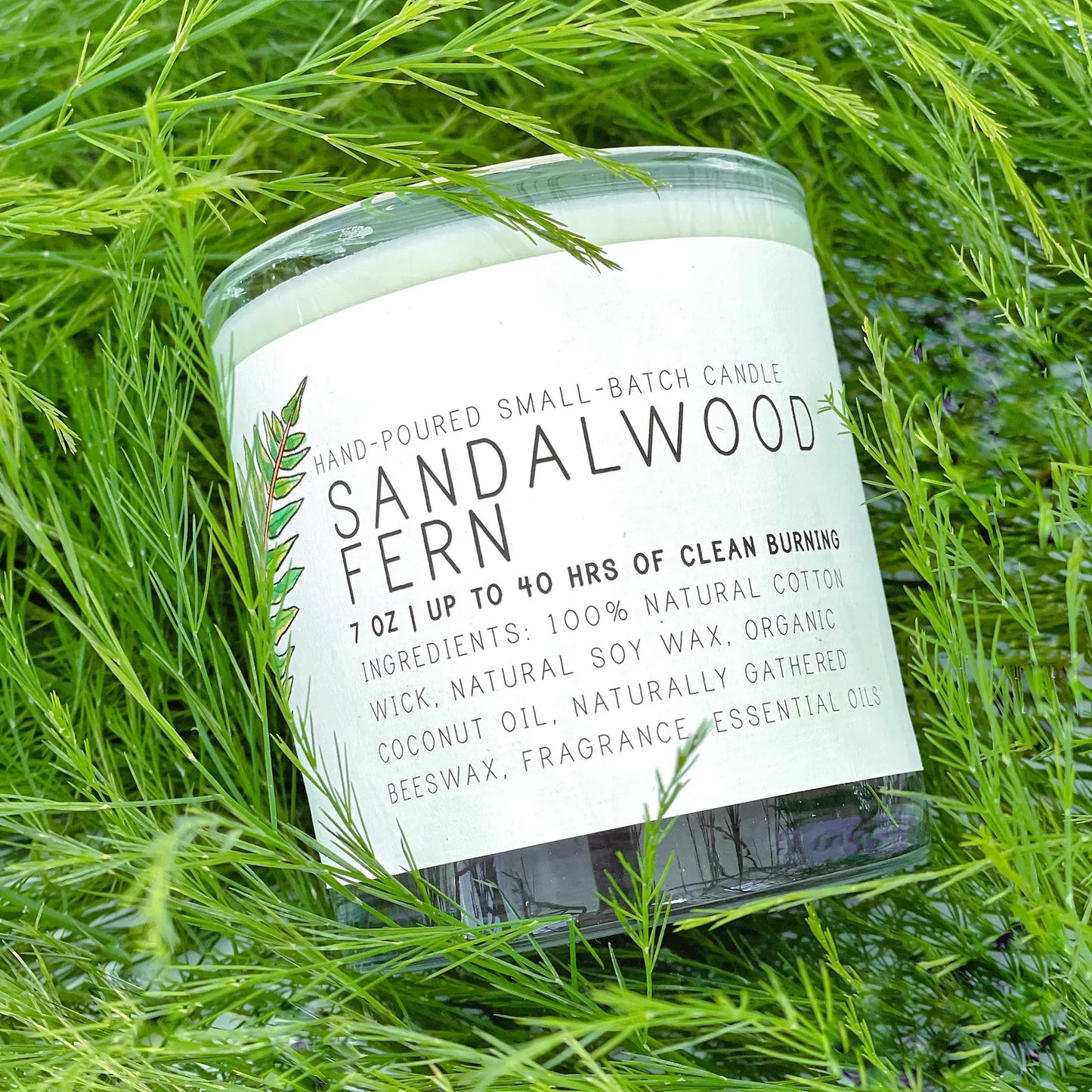 Sandalwood Fern Candle