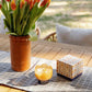 Tulip Glass Candle - Garden & Grove
