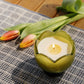 Tulip Glass Candle - Verbena Lemongrass