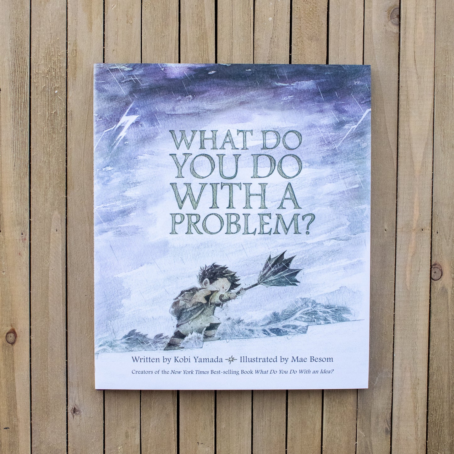 What Do You Do With A Problem? By Kobi Yamada