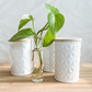 The White Collection -Tall Round Canister