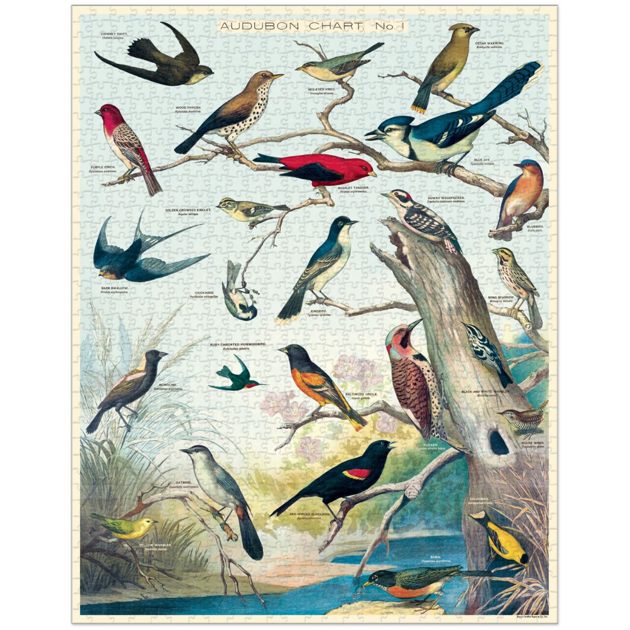Audubon Birds Vintage Style Puzzle
